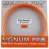 Signum Pro Poly Plasma 1.23