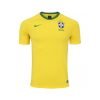 Camiseta Nike Torcedor Seleção Brasileira 2018